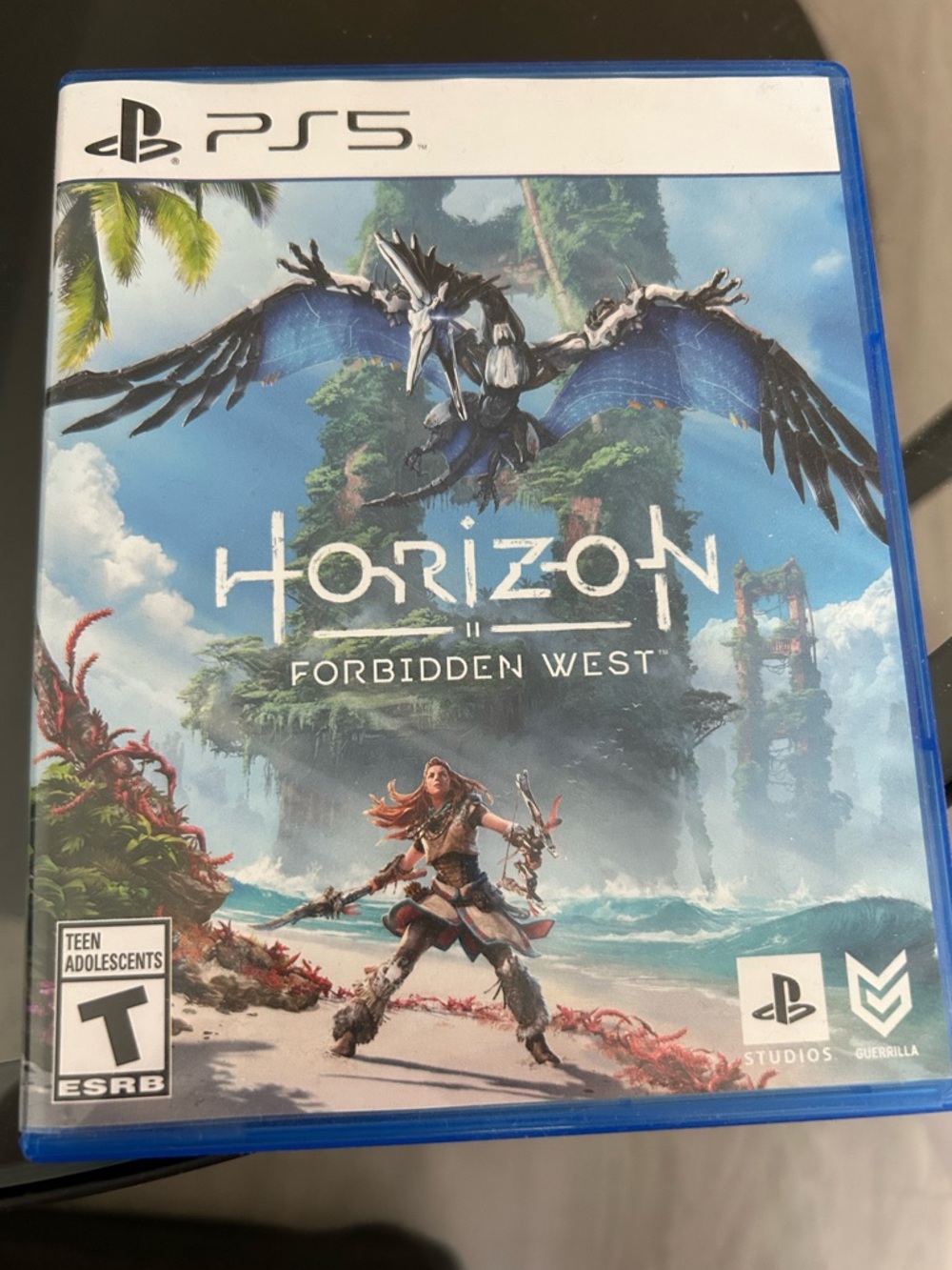 PS5 Horizon Forbidden West